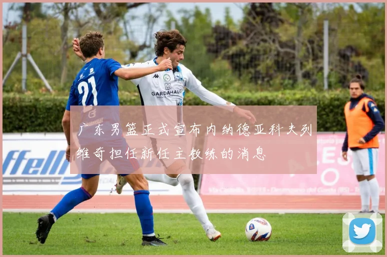 广东男篮正式宣布内纳德亚科夫列维奇担任新任主教练的消息