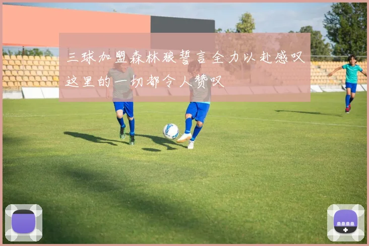 三球加盟森林狼誓言全力以赴感叹这里的一切都令人赞叹